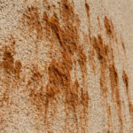 Mur extérieur crépi beige recouvert de larges traînées et de dépôts fibreux brun-rougeâtre, signes de prolifération d'algues.